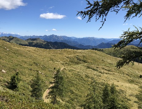 Immagine Escursione Alpe di Faserno