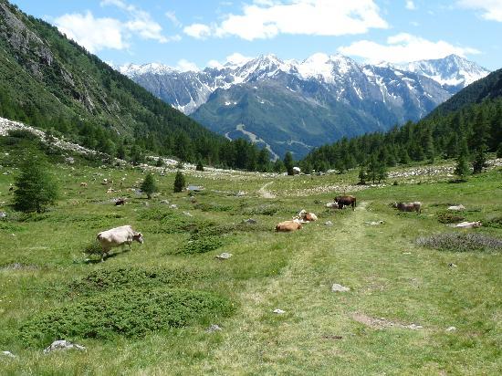 Immagine Escursione Val Paghera - Val Canè